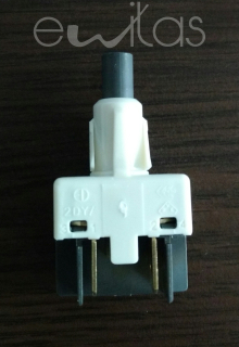 56005